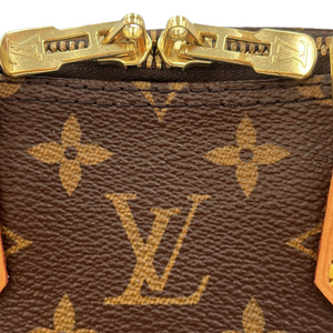 Tela monogramma di Louis Vuitton Alma BB