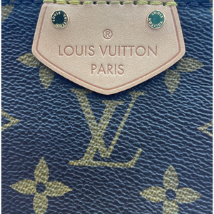 Louis Vuitton Turenne PM Monogram Canvas