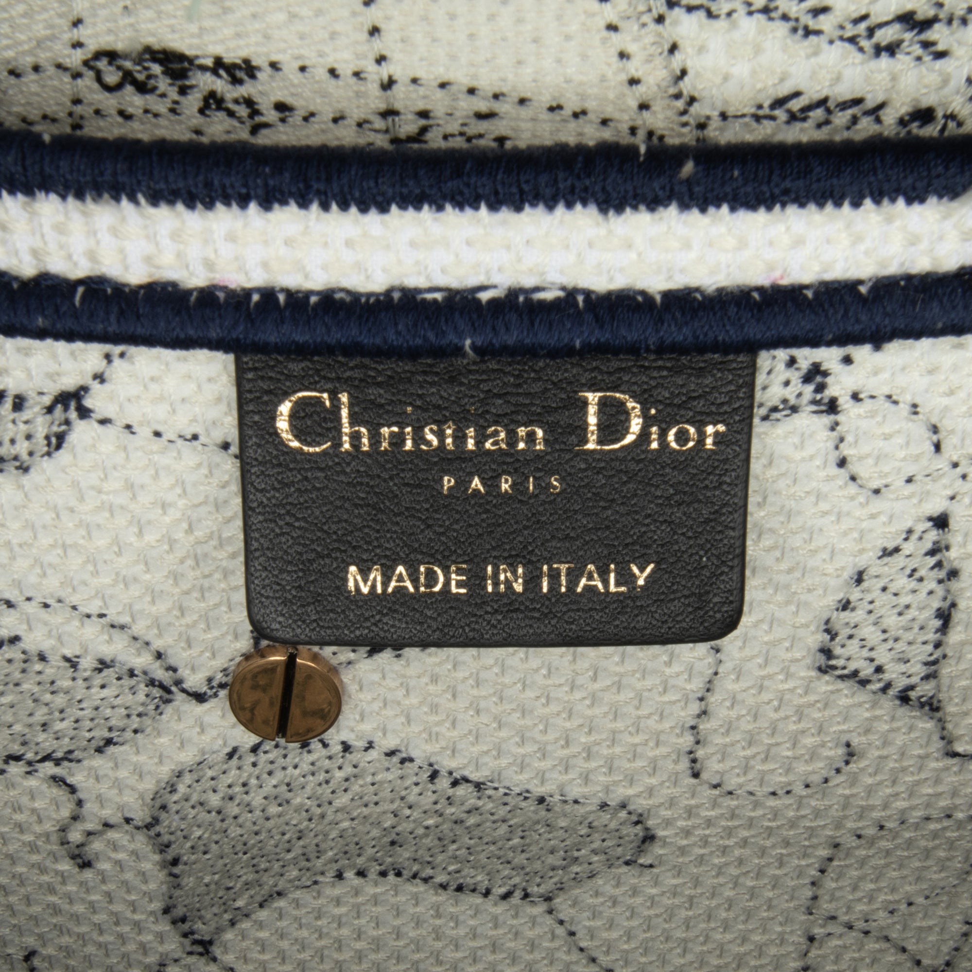 Dior Saddle Bag  Around the World Blue Embroided Canvas